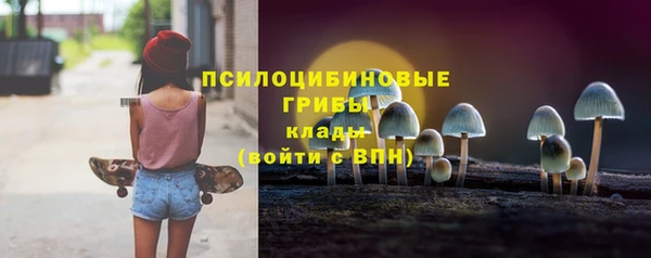 spice Балабаново