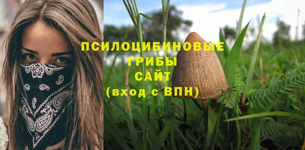 бутират Баксан