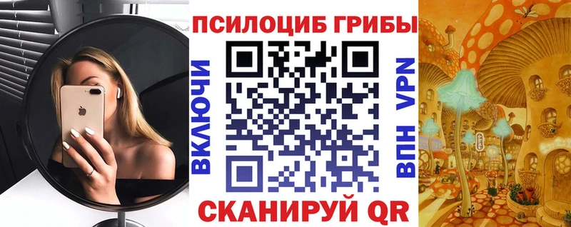 наркотики  Калининец  гидра онион  Псилоцибиновые грибы Magic Shrooms 